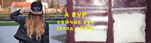 стафф Тавда