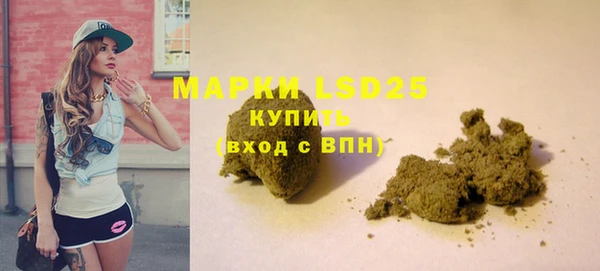 стафф Тавда