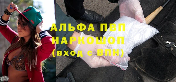 ГАЛЛЮЦИНОГЕННЫЕ ГРИБЫ Тайга