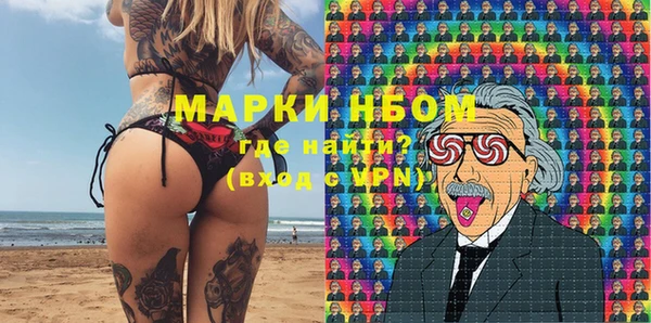 ГАЛЛЮЦИНОГЕННЫЕ ГРИБЫ Тайга