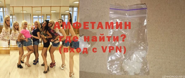 ГАЛЛЮЦИНОГЕННЫЕ ГРИБЫ Тайга