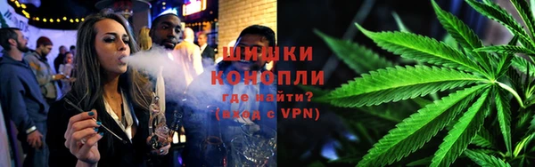 ГАЛЛЮЦИНОГЕННЫЕ ГРИБЫ Тайга