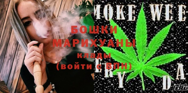 ГАЛЛЮЦИНОГЕННЫЕ ГРИБЫ Тайга
